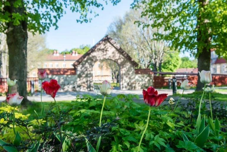 Portalen vid Kungsgårdsskolan. Tulpaner i förgrunden.