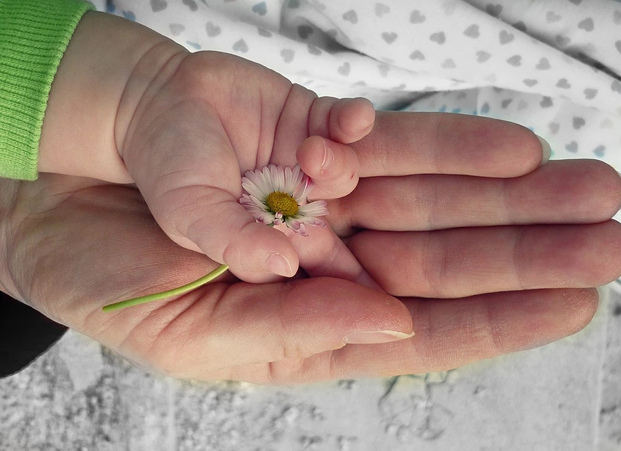 En barnhand där det ligger en liten blomma ovanpå en vuxenhand