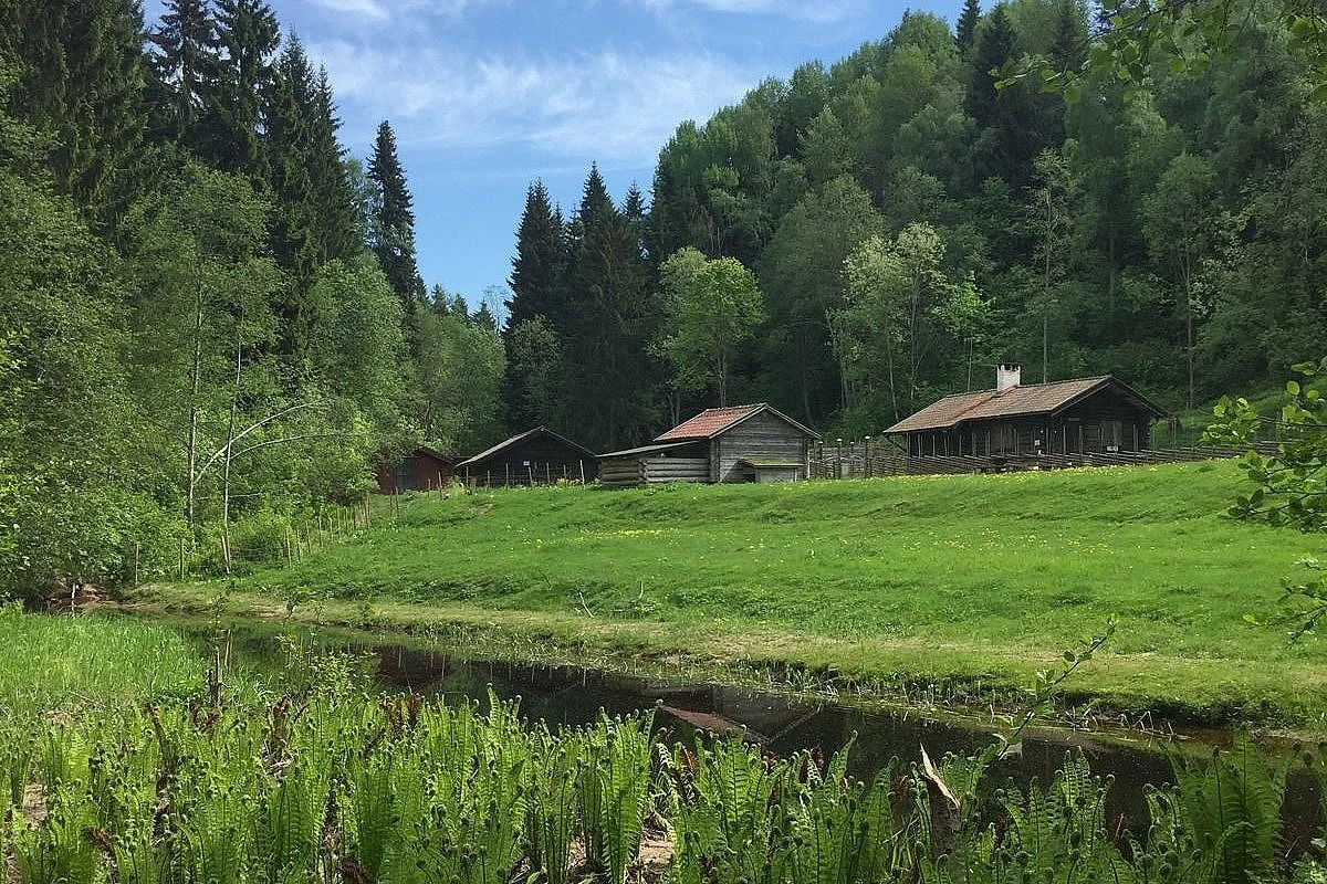 Vy över den artrika naturen i Säterdalen.