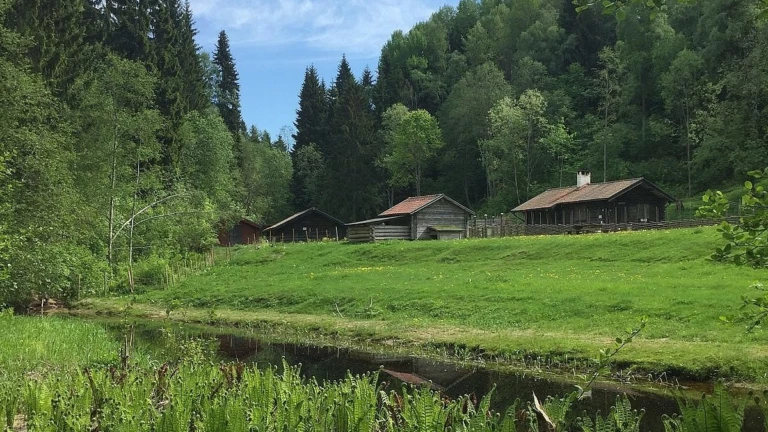 Vy över den artrika naturen i Säterdalen.