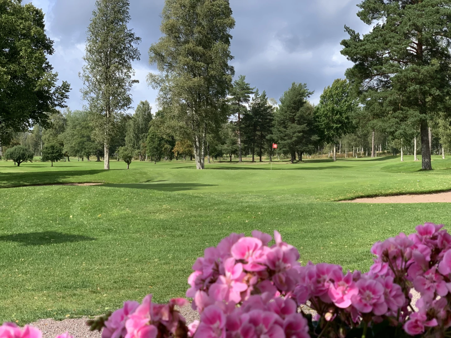 Bild över golfbanan en sommardag där gräset är grönt och lite rosa blommor i förgrunden