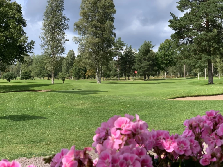 Bild över golfbanan en sommardag där gräset är grönt och lite rosa blommor i förgrunden