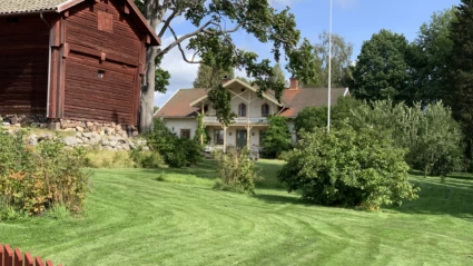 En gräsmatta med en röd gammal lada och ett vitt hus.