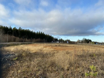 Öppen sandmark, gräs med träd och himmel i bakgrunden.