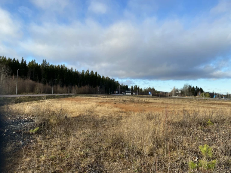 Öppen sandmark, gräs med träd och himmel i bakgrunden.