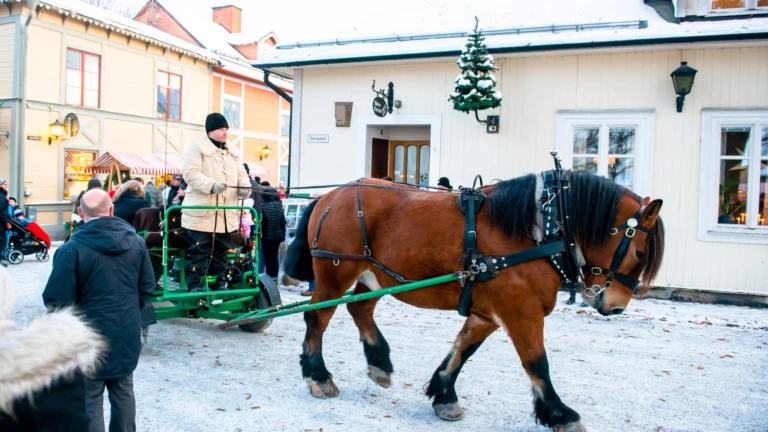 Häst och vagn på julmarknaden i Säter