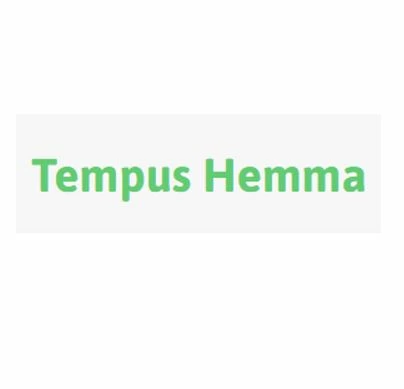 Tempus Hemma logo