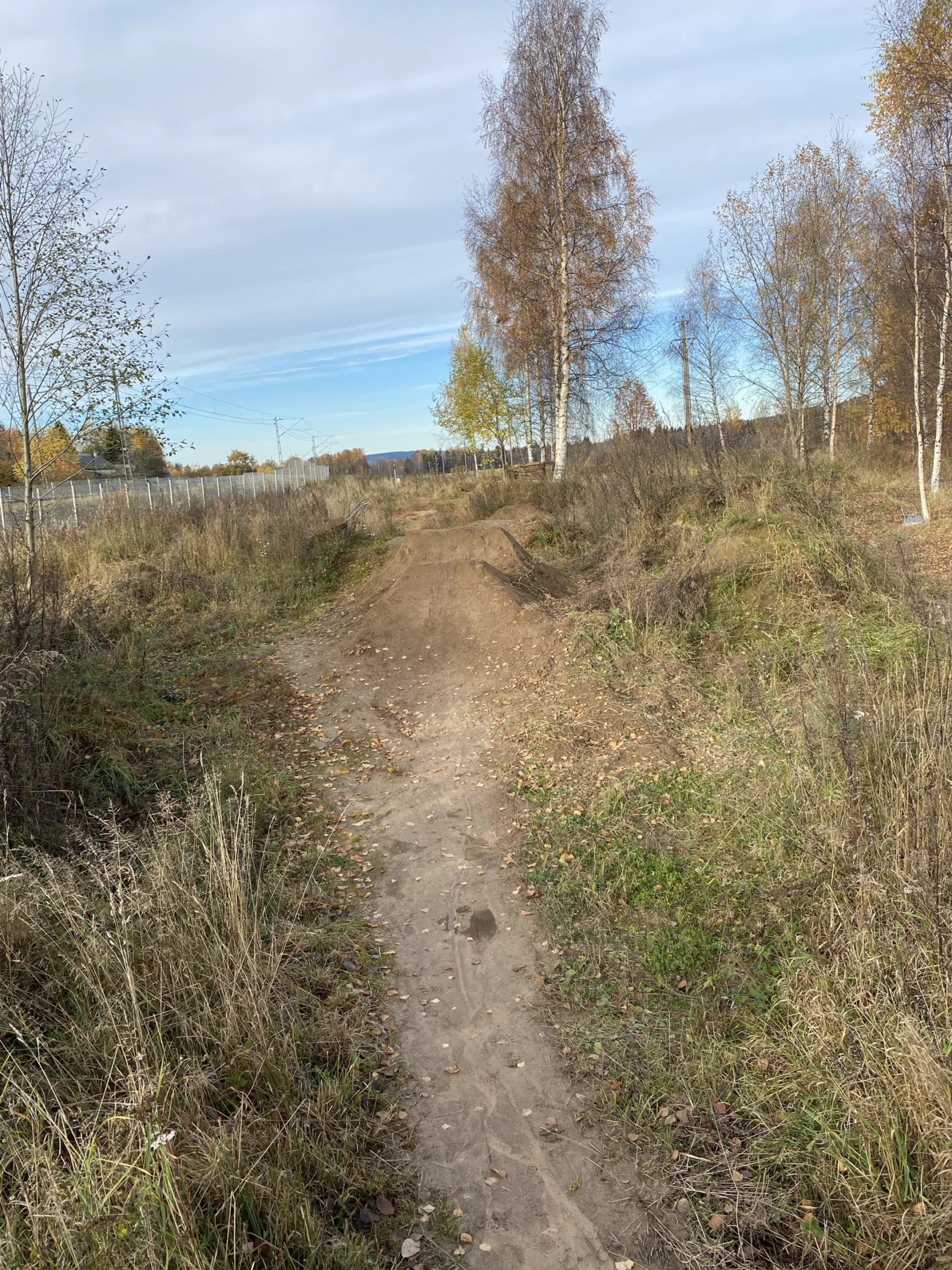Naturbild på dirtbanan i Dalsbyn