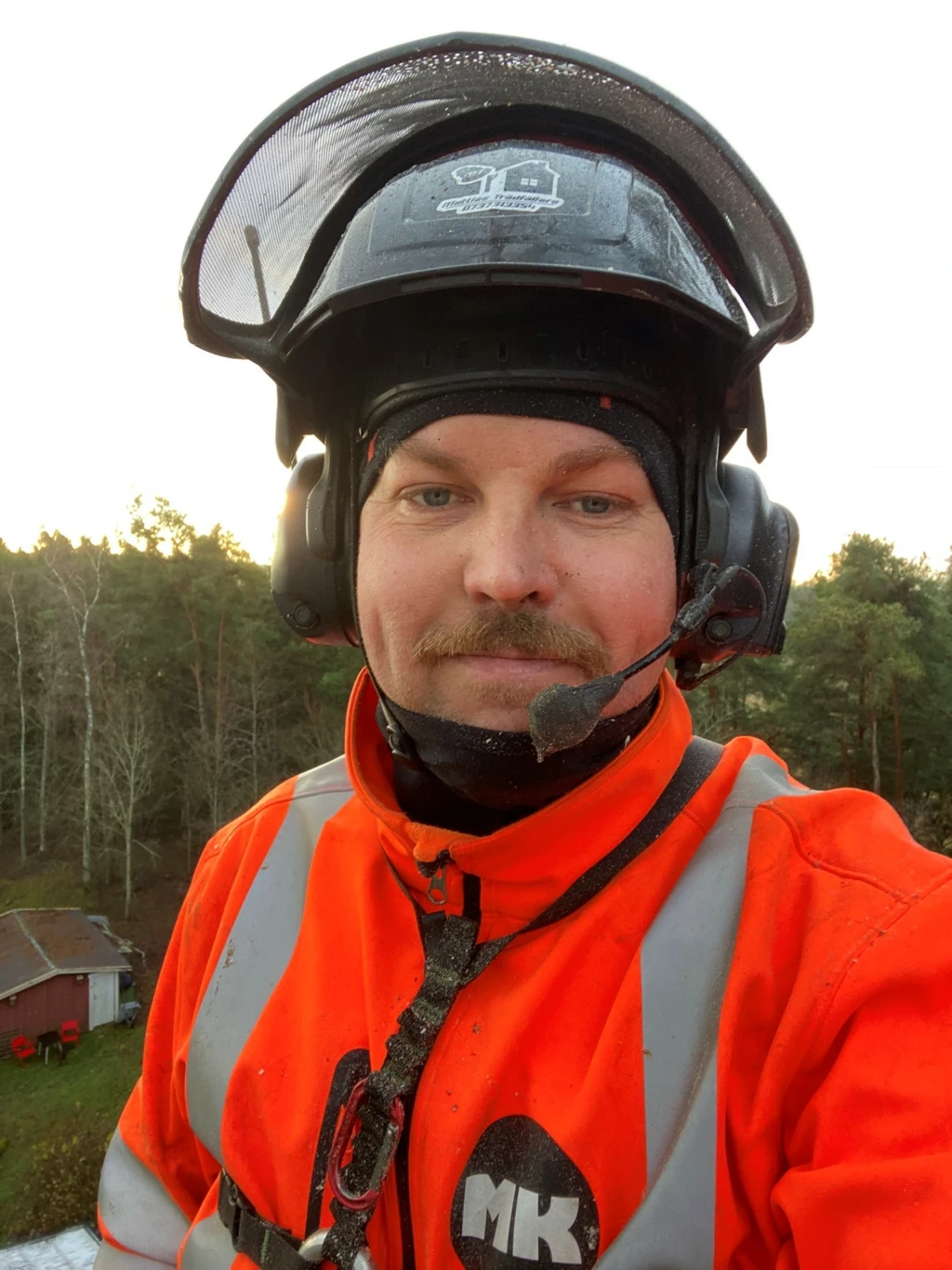 Mattias Ahl, Mattias Trädfällare