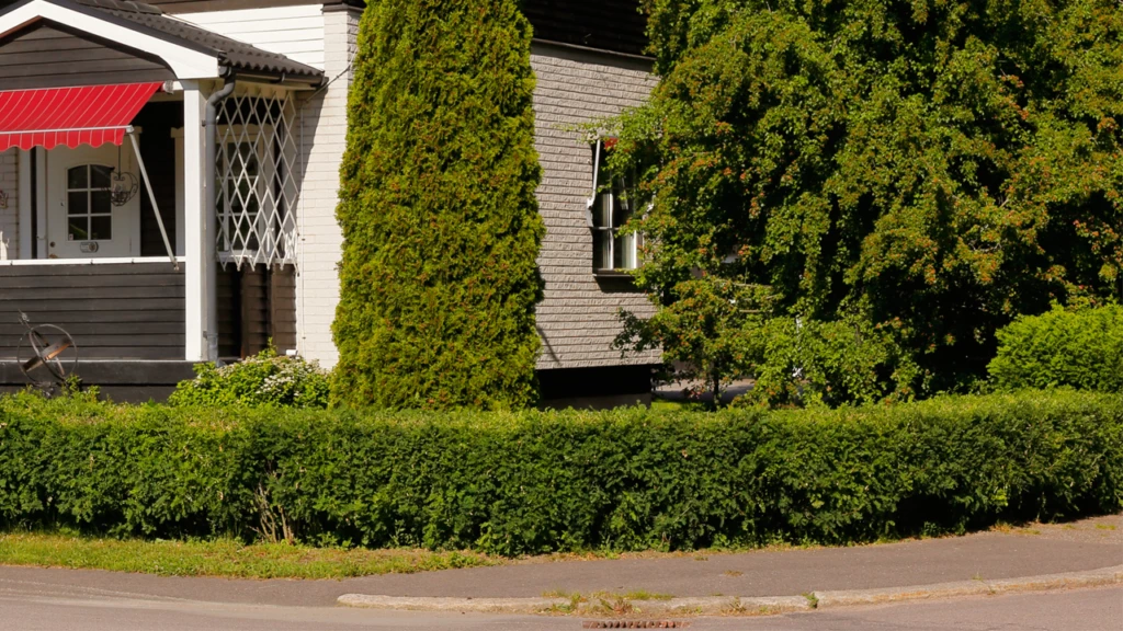 En grön häck runt en villatomt