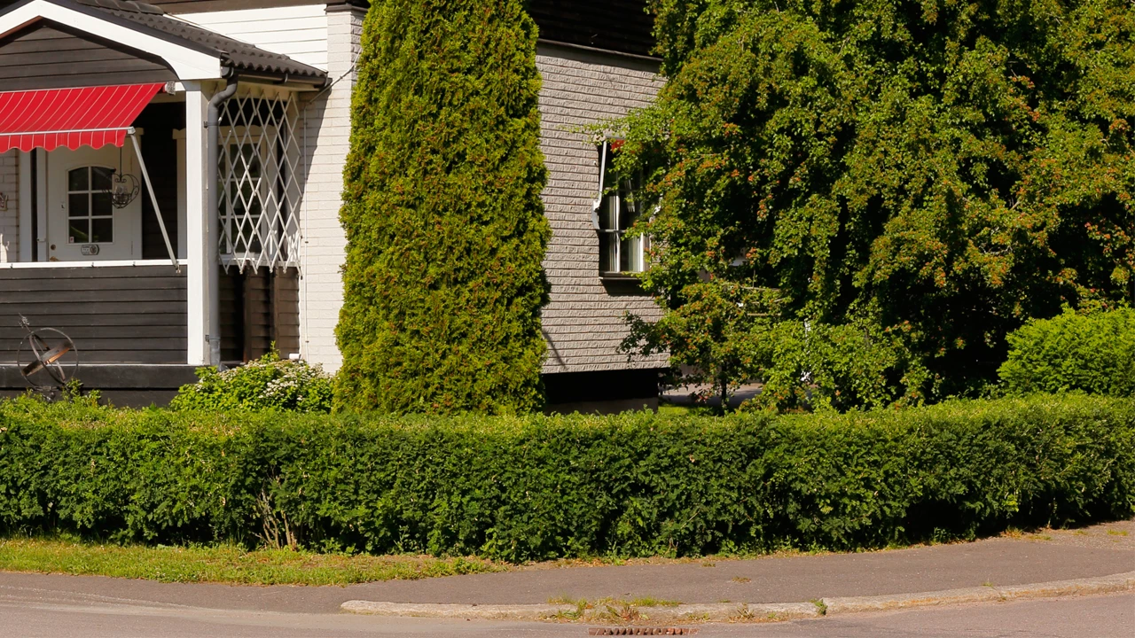 En grön häck runt en villatomt