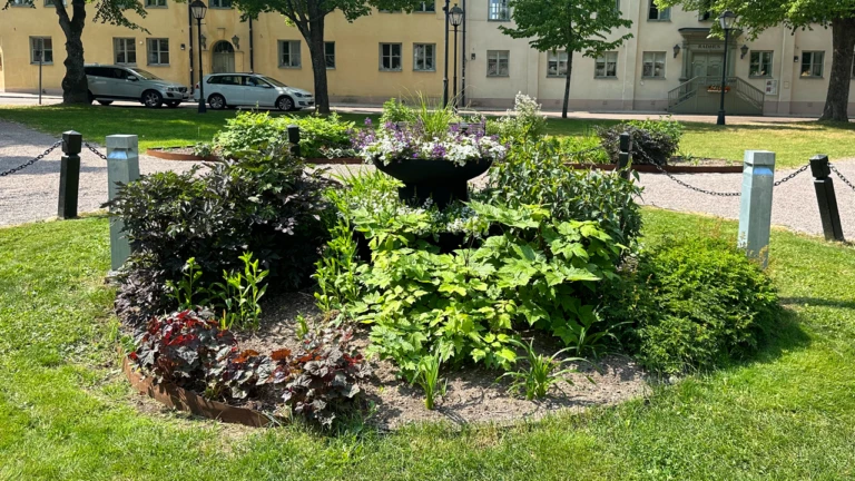 En rabatt i en park