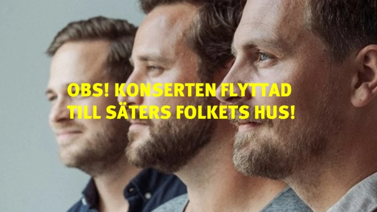 porträtt på a capellagruppen Solala.
