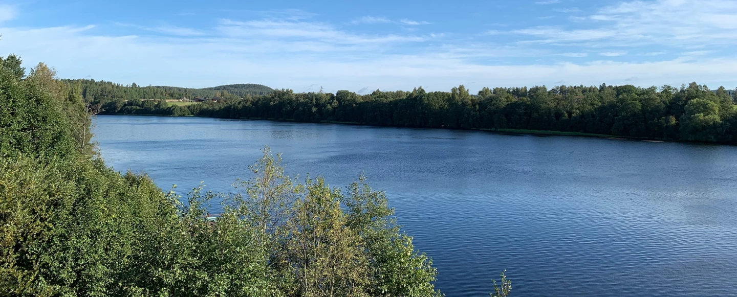 Vy över Dalälven med blått vatten, blå himmel och gröna träd