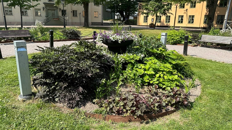 Rabatt med växter i framför ett stort gammalt vitt hus