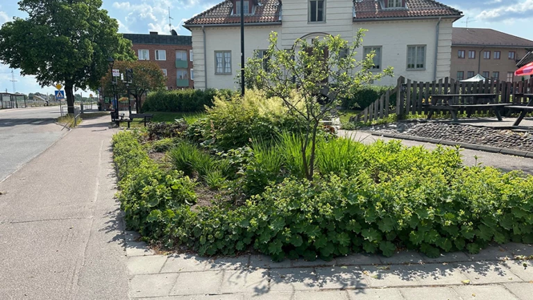 Rabatt med växter framför ett vitt stenhus.