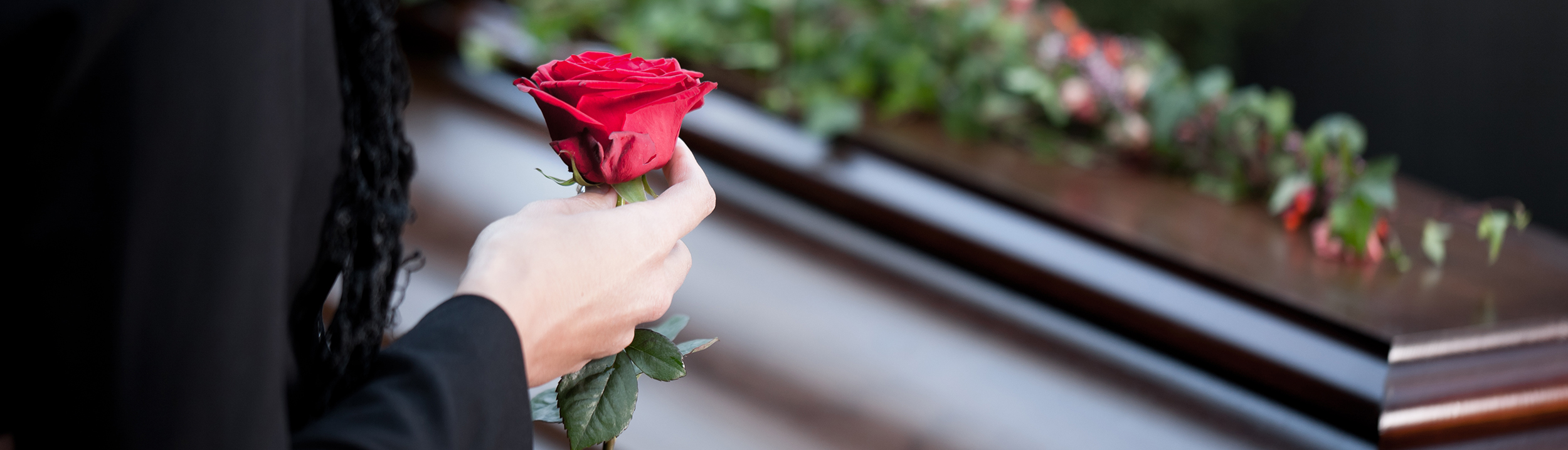 en hand som håller i en röd ros framför en kista