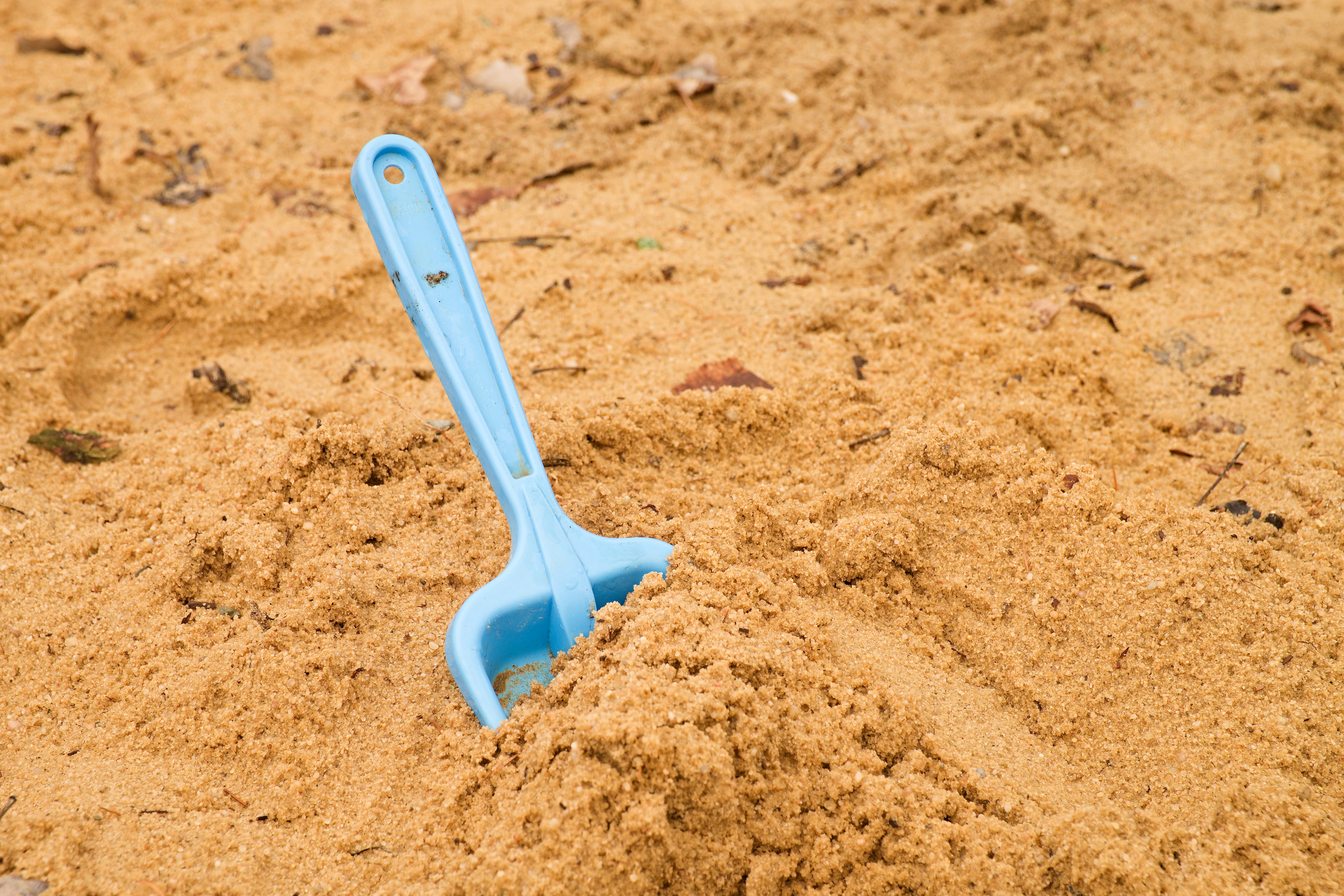 f&ouml;rsta spad taget