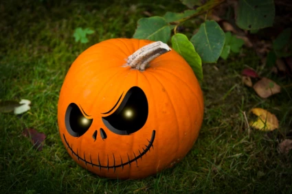 Pumpa med lysande ögon