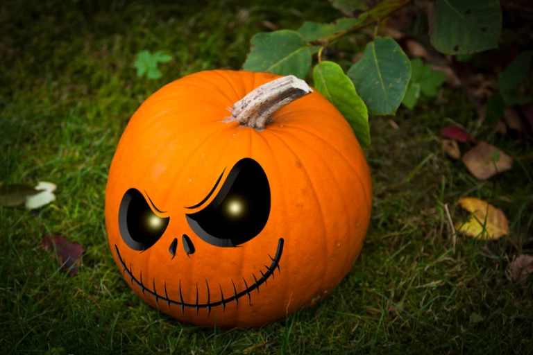 Pumpa med lysande ögon