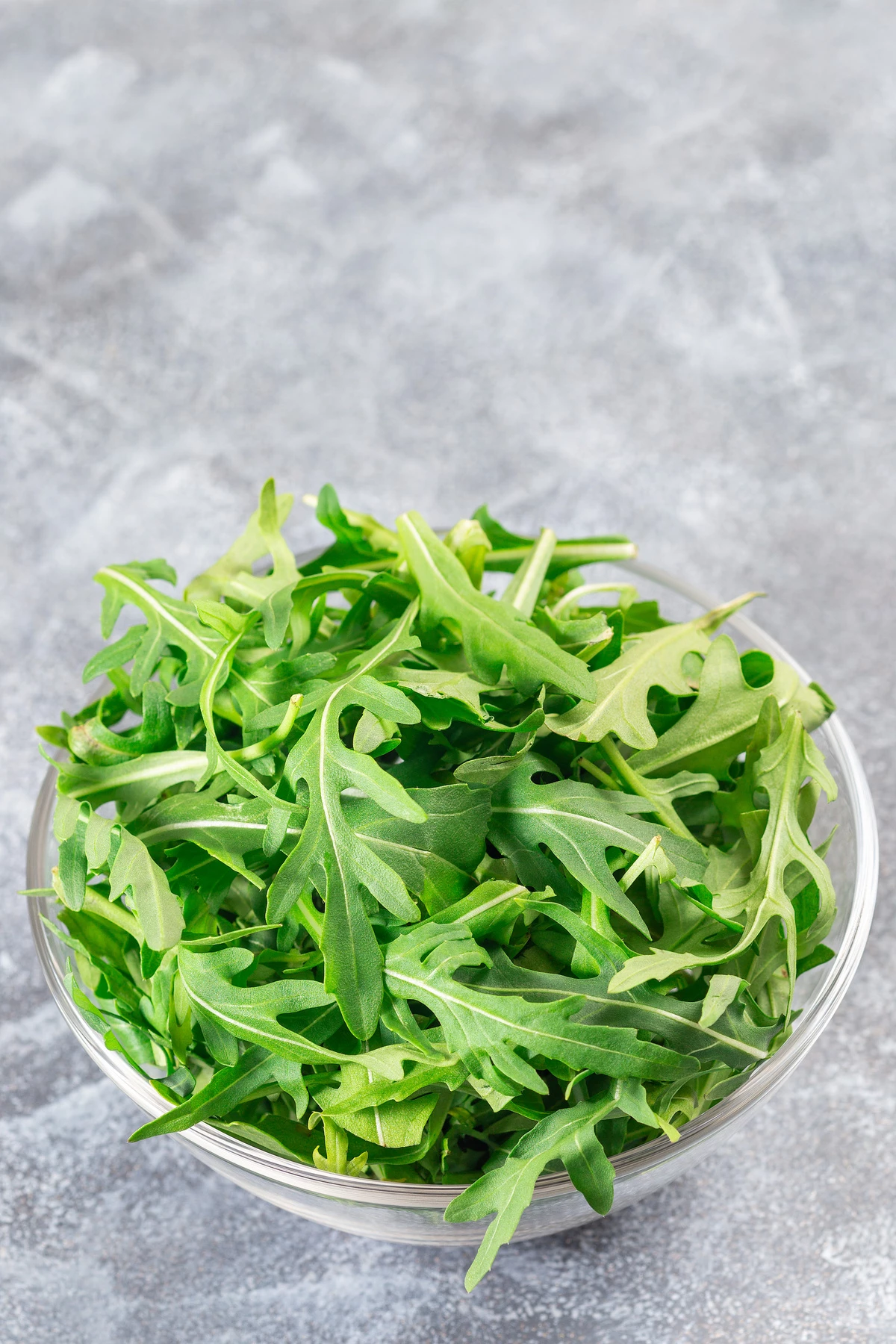 Rucola