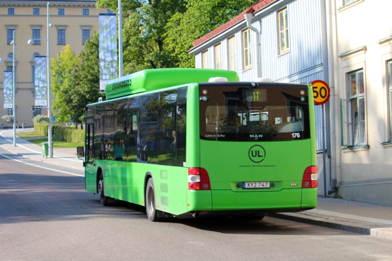 Grön buss