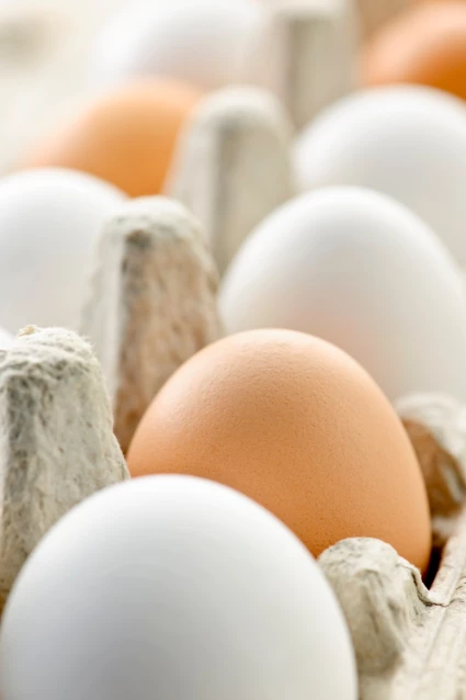 Ägg
