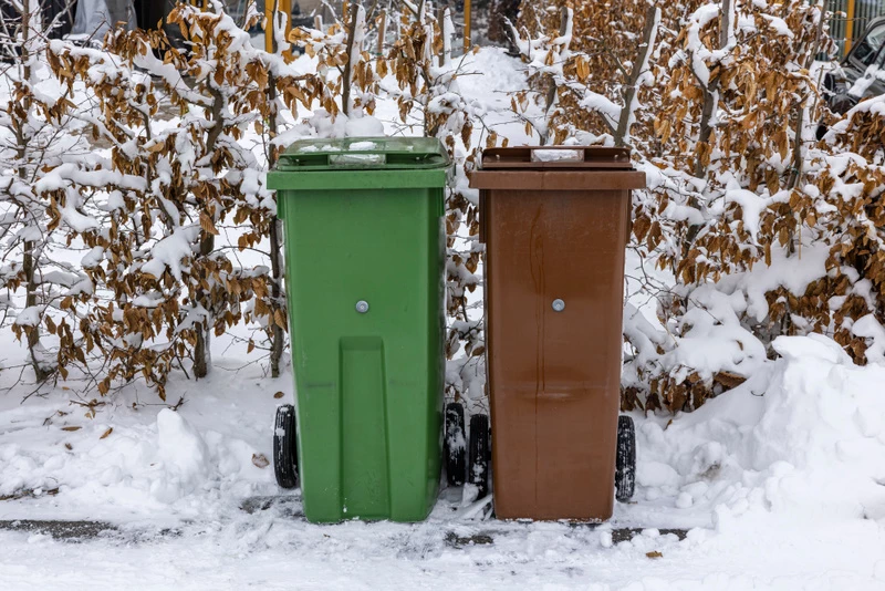 En grön och en brun soptunna vid vägkanten