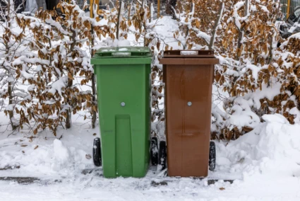 En grön och en brun soptunna vid vägkanten