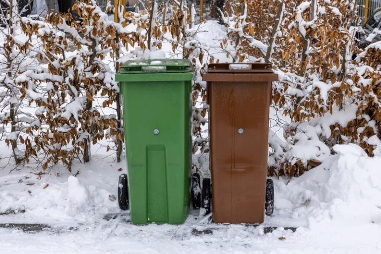 En grön och en brun soptunna vid vägkanten