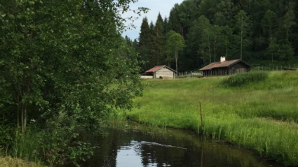 Fäboden
