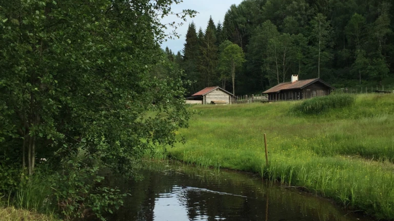 Fäboden