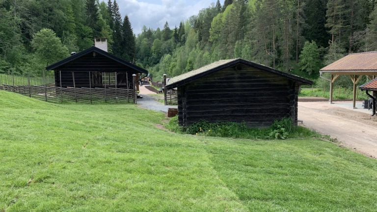 Fäboden