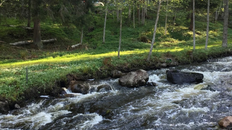 Ljusterån