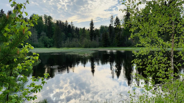 Sjö