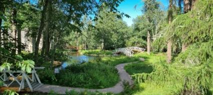 Foto av den Engelska parken i Grängshammar. Bilden Skirande grönska och vita välvda promenadbroar över porlande bäckar