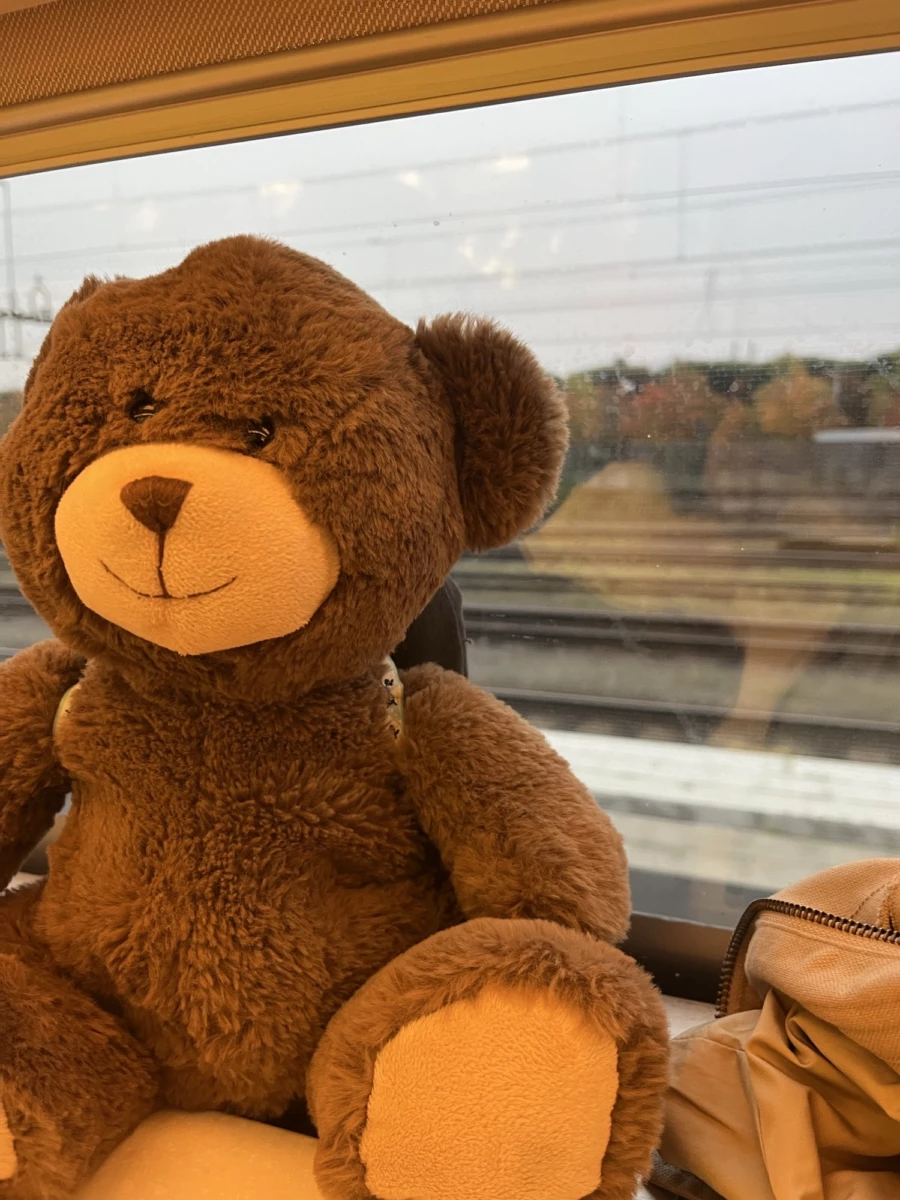 På tåget i Norrköping