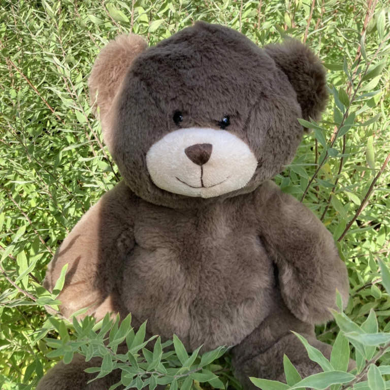 Bjarne första bilden