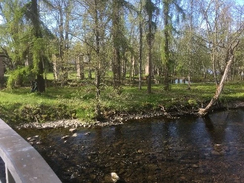 Bäck och natur i grängshammar