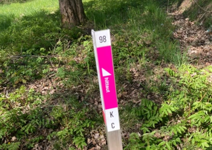 Kontroll för Hittaut