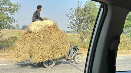 en man som sitter på ett hölass