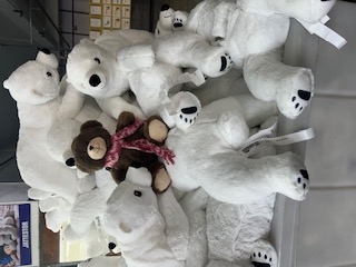 Bjarne med andra björnar - isbjörnar!