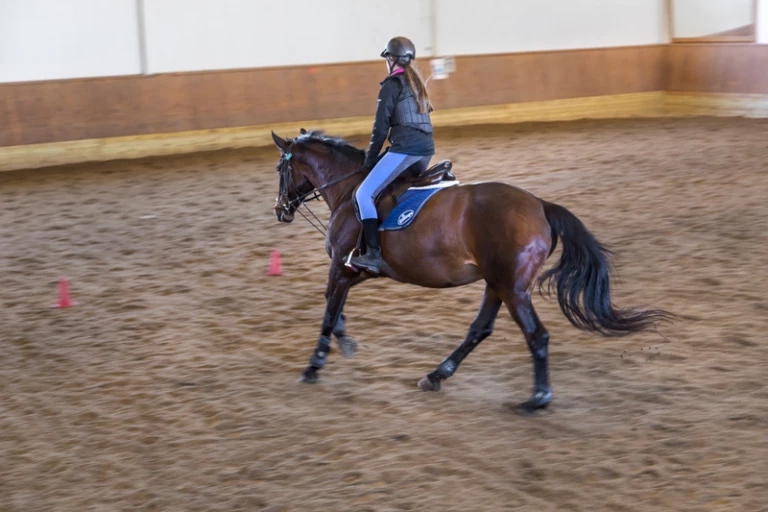 En ryttare på en häst inne i ett ridhus