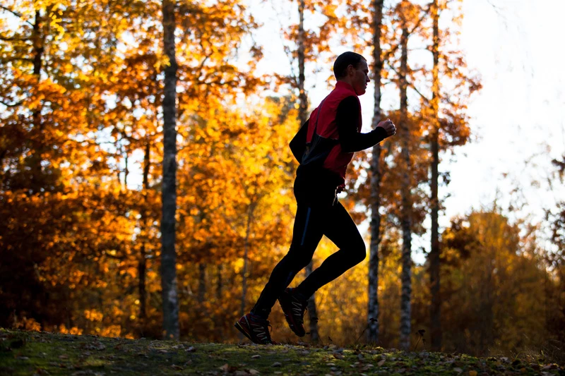 En person som springer i en skog
