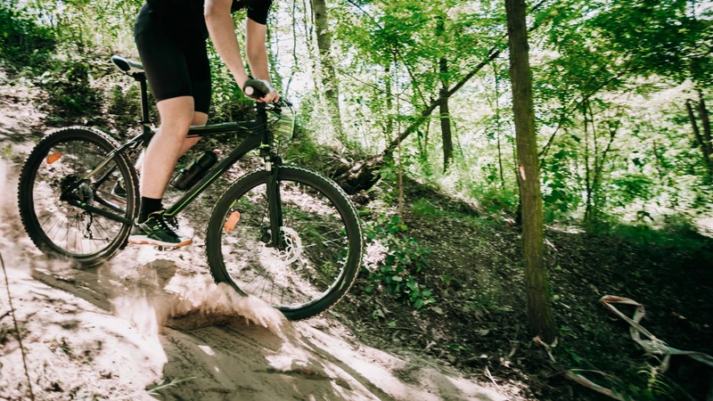 En mountainbikecyklist i skogen