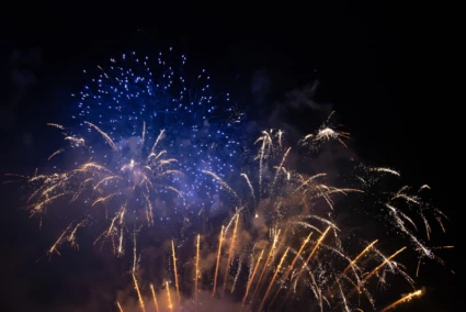 fyrverkerier som syns mot en mörk himmel