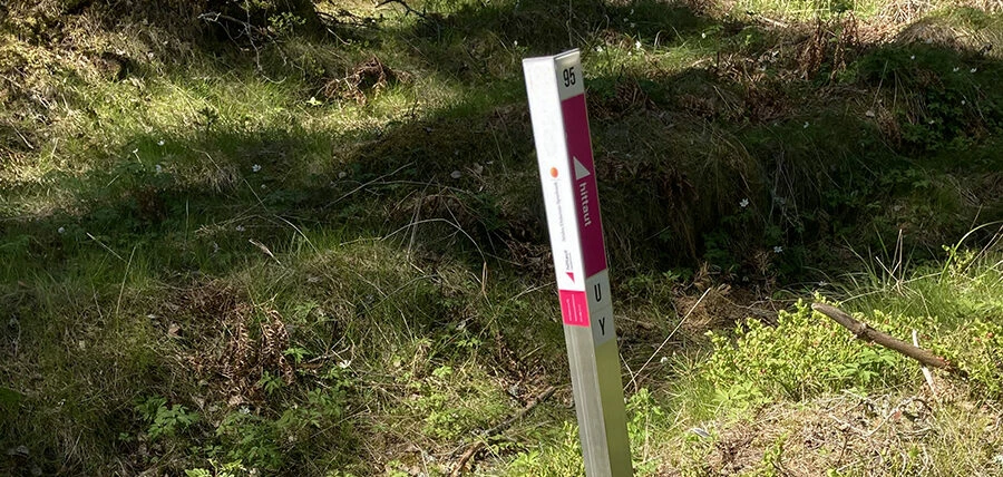 en hittautstolpe i naturen och en papperskarta som ligger bredvid på marken