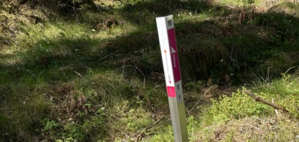en hittautstolpe i naturen och en papperskarta som ligger bredvid på marken