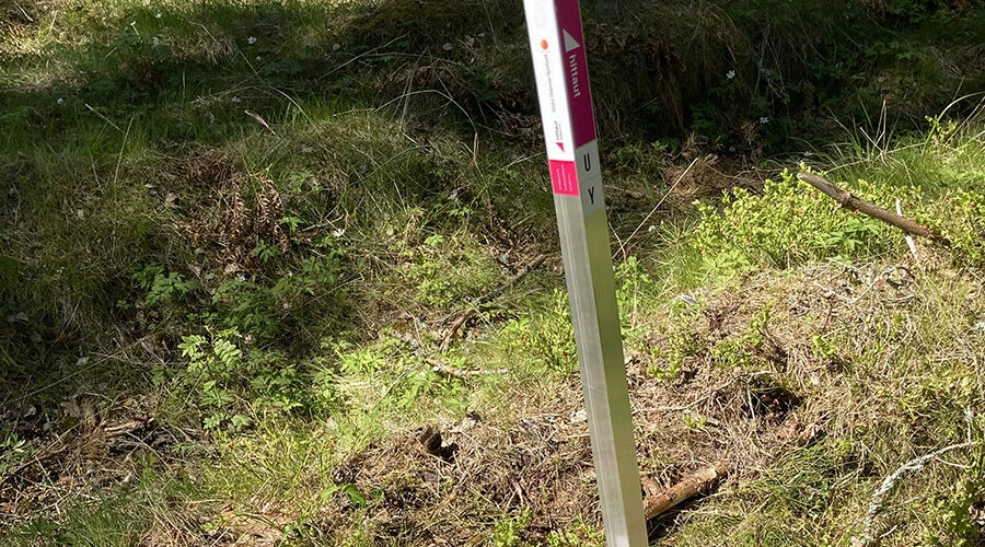 en hittautstolpe i naturen