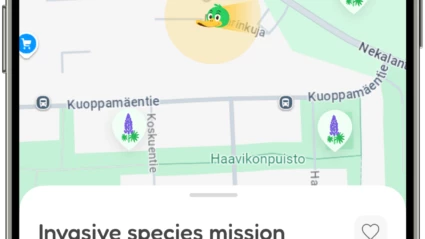 Kartbild över lupinområden som ska bekämpas.